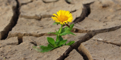 TheInnerStrengthofaLeader-MasteringResilience